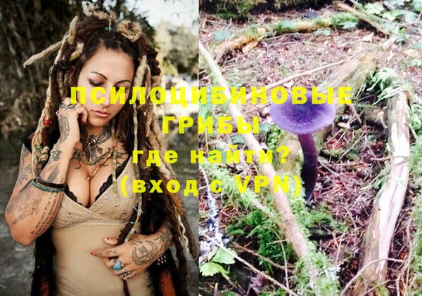 стафф Осинники