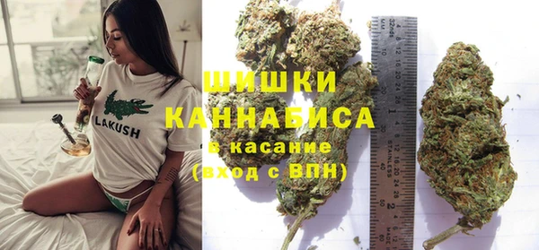 стафф Осинники