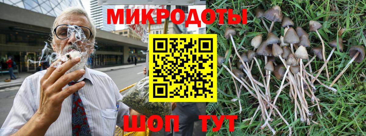 Галлюциногенные грибы Psilocybine cubensis  Псилоцибиновые грибы мухоморы  Сосновоборск  Вход с VPN 